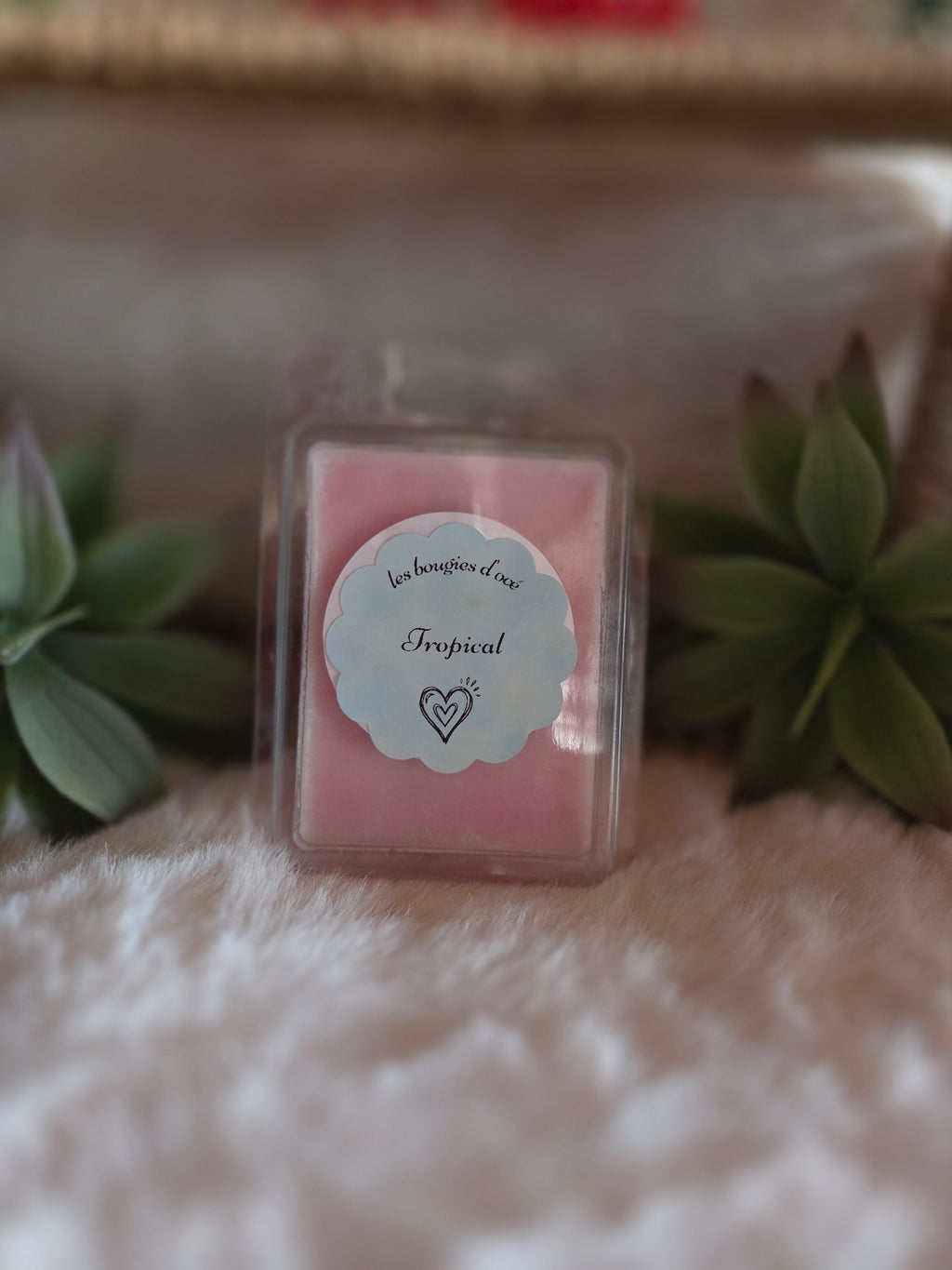 Tablette de Fondants "Snap Bar" — Senteur Tropical